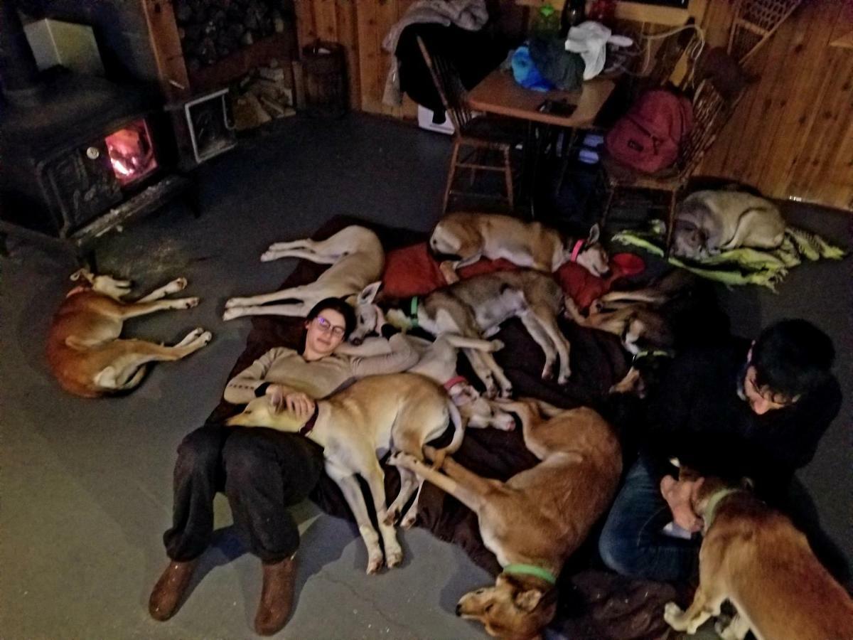 Les Cabines Nordik Des Piles Villa Saint-Jean-des Piles ภายนอก รูปภาพ
